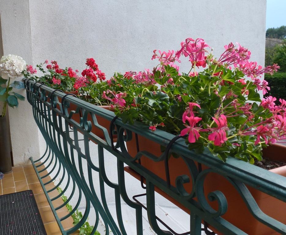Villa Manon Mouans-Sartoux Dış mekan fotoğraf