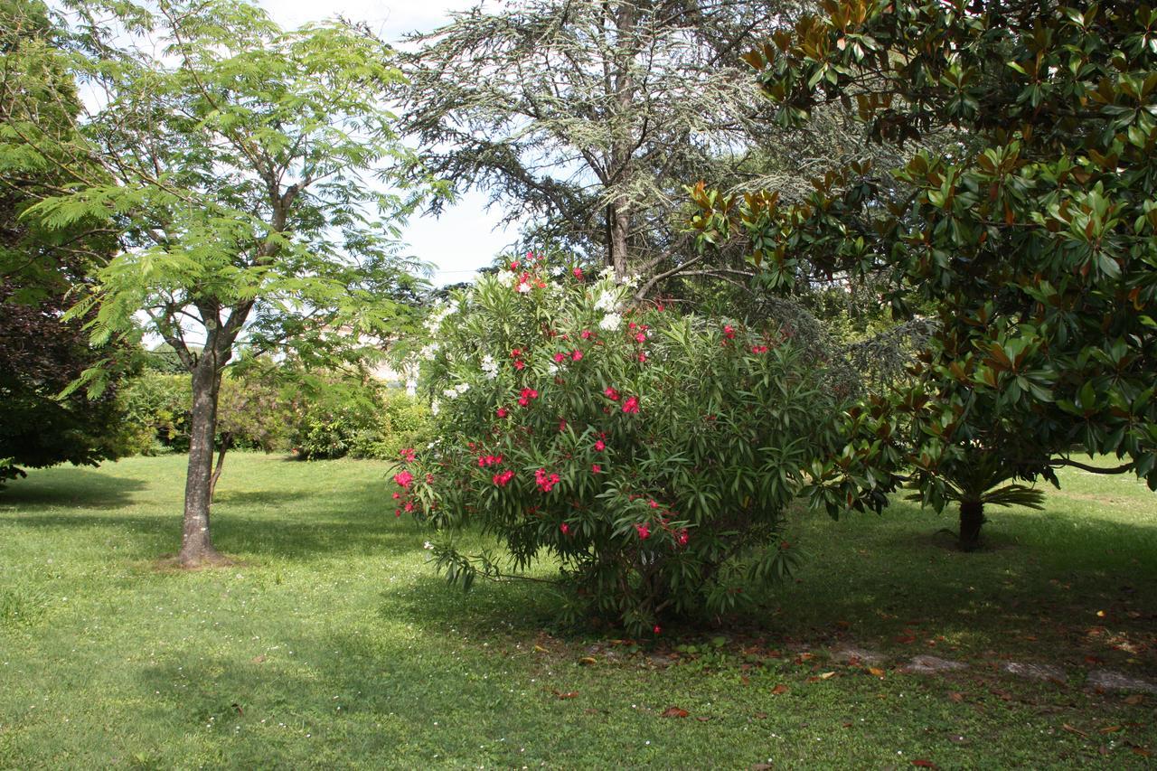 Villa Manon Mouans-Sartoux Dış mekan fotoğraf